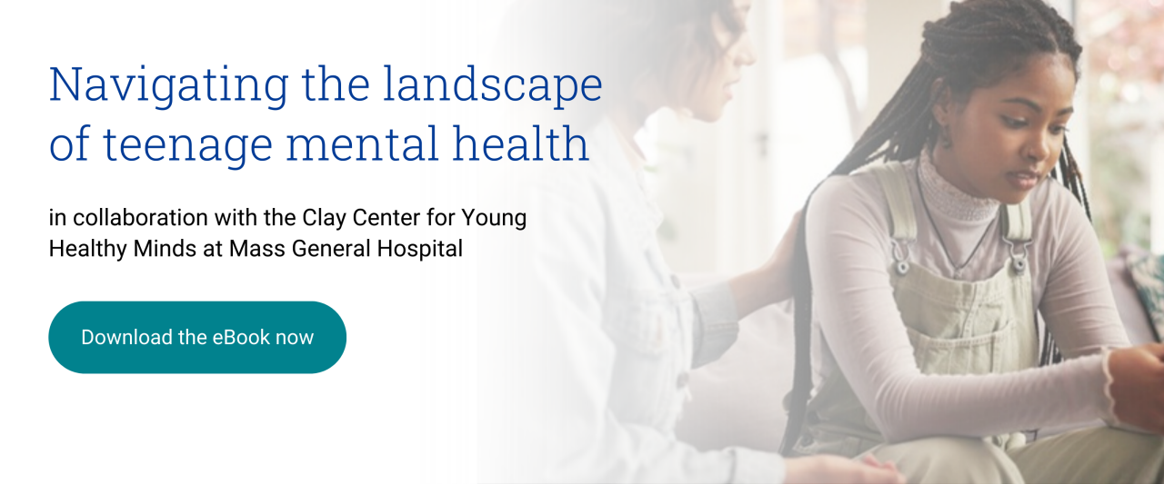 Navigating the landscape of teenage mental health eBook cover image